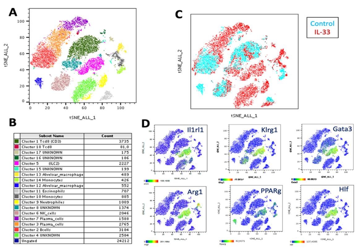 Single cell representation and graphics